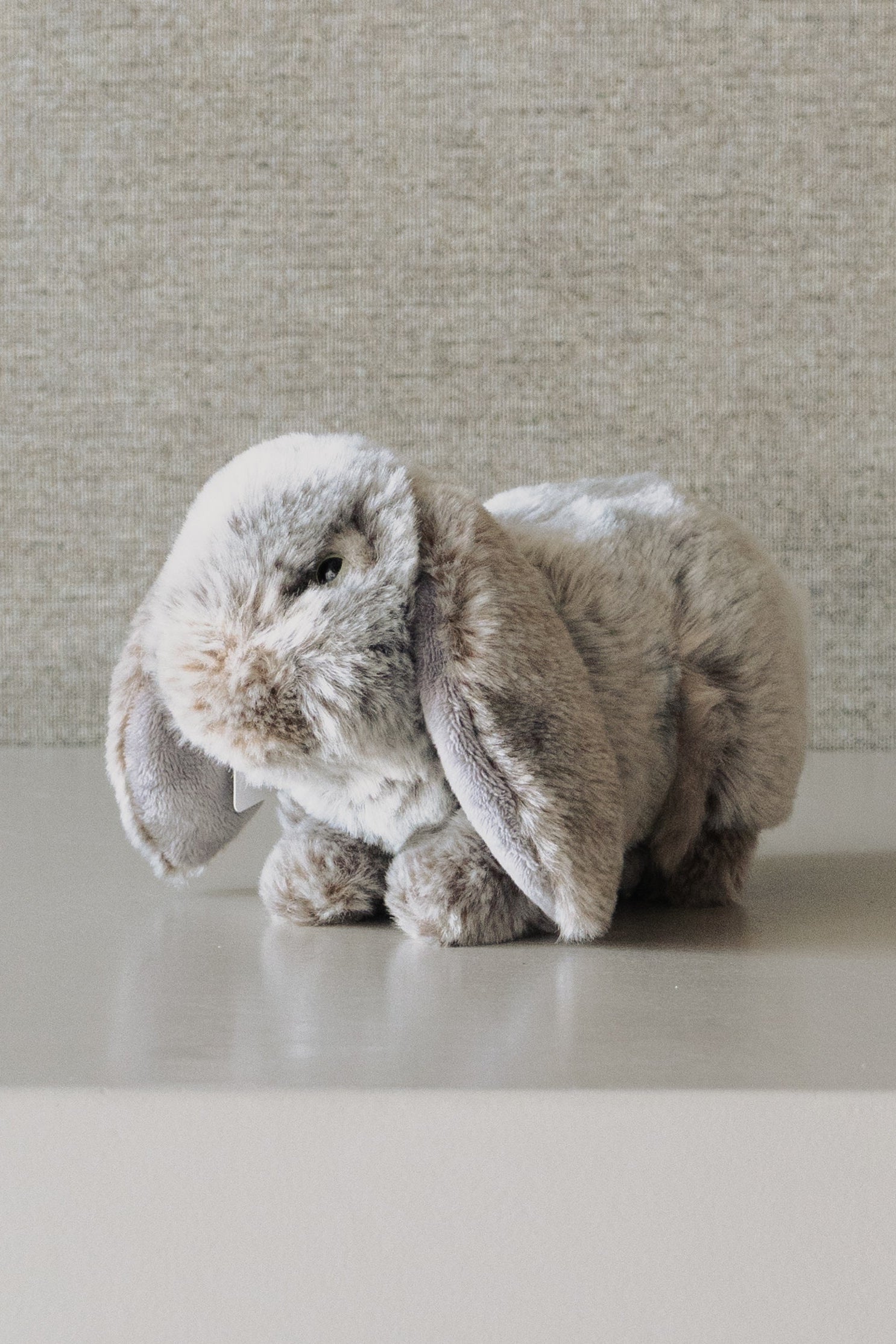 Conejo