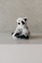 Mapache