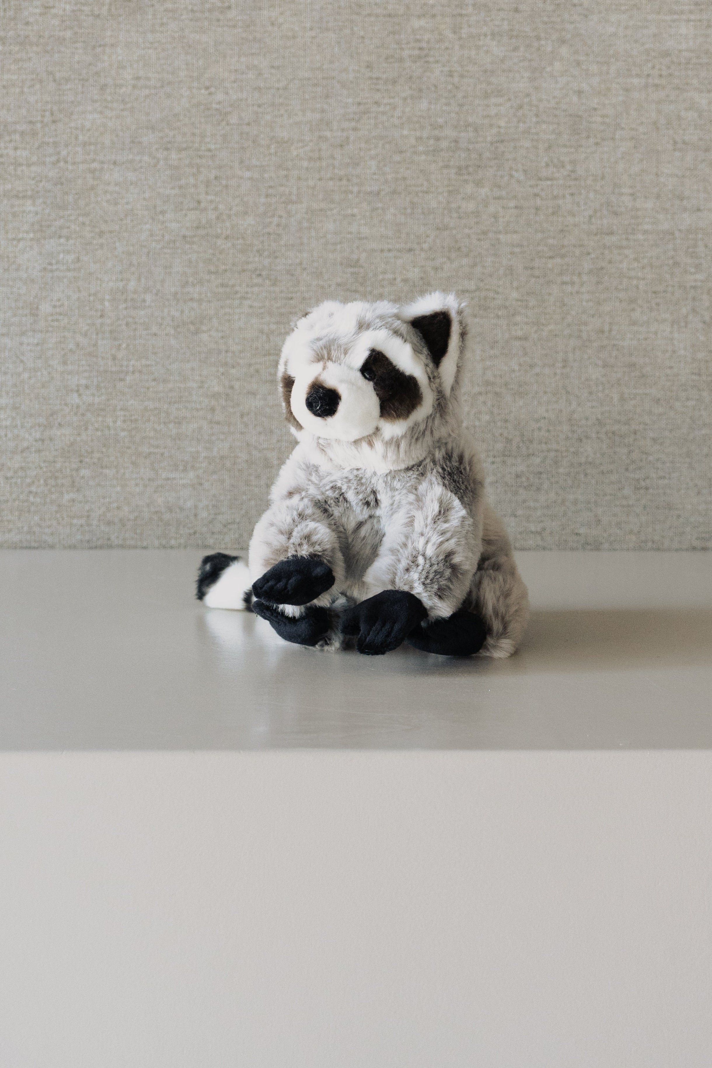 Mapache