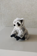 Mapache