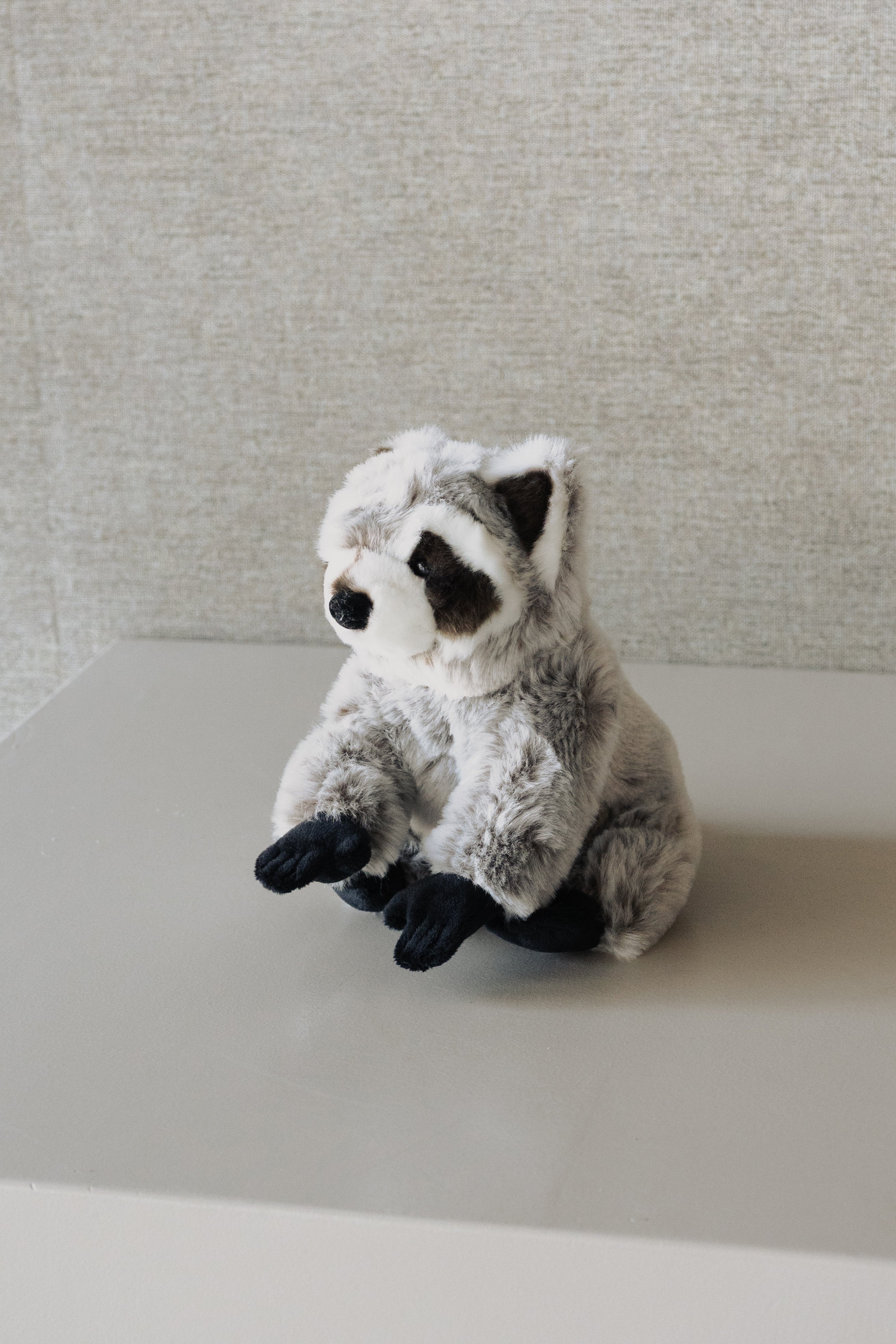 Mapache