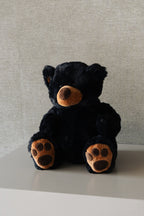 Oso Negro