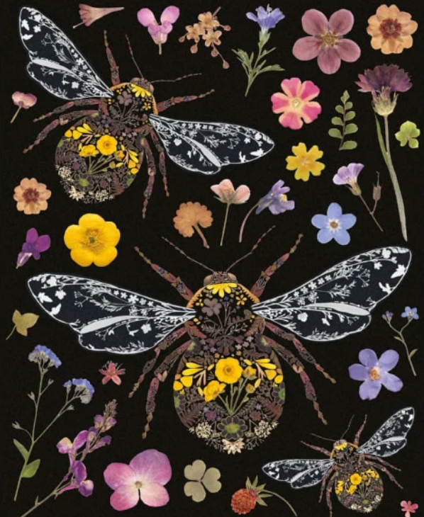 Tarjeta Abeja